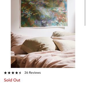 Urban Outfitters | NWT Monet Lily Pads Tapestry